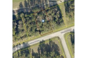4925 HICKORY OAK DRIVE, BROOKSVILLE, FL 34601 - MLS#MFRW7877790