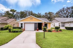 11539 Pear Tree Dr, NEW PORT RICHEY