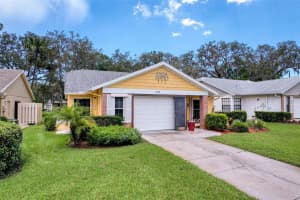 11539 PEAR TREE DRIVE, NEW PORT RICHEY, FL 34654 - MLS#MFRW7877800