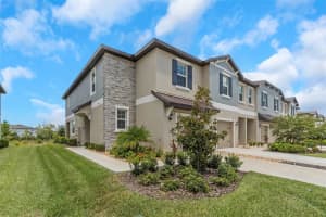 10927 Wishing Cloud Rd, LAND O LAKES