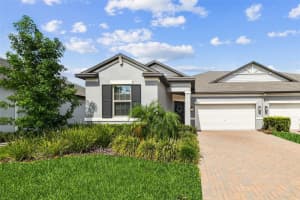 9967 Red Bay Loop, LAND O LAKES