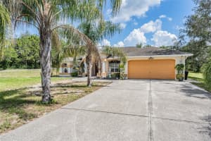 16402 FRINGE TREE DRIVE, SPRING HILL, FL 34610 - MLS#MFRW7877823