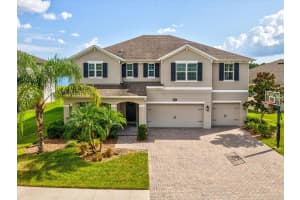 18292 ROSEATE DRIVE, LUTZ, FL 33558 - MLS#MFRW7877838