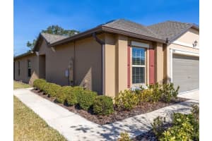 13987 WEDDINGTON TERRACE, HUDSON, FL 34669 - MLS#MFRW7877848