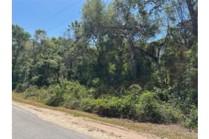 Lot 175C MADISON AVENUE, DADE CITY, FL 33523 - MLS#MFRW7877856