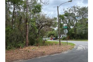 Lot W290 NAVAJO TRAIL, SPRING HILL, FL 34606 - MLS#MFRW7877857