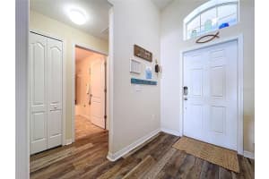 10143 TOLMAN DRIVE, HUDSON, FL 34667 - MLS#MFRW7877866