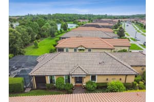 11551 CALLISIA DRIVE, ODESSA, FL 33556 - MLS#MFRW7877874