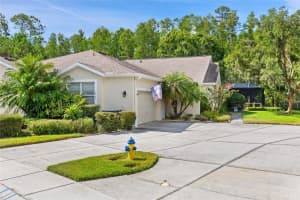 7239 Cleopatra Dr, LAND O LAKES