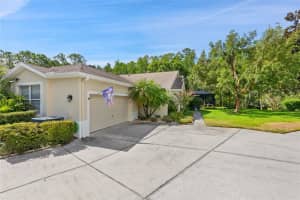 7239 CLEOPATRA DRIVE, LAND O LAKES, FL 34637 - MLS#MFRW7877896