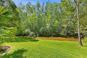 7239 CLEOPATRA DRIVE, LAND O LAKES, FL 34637 - MLS#MFRW7877896