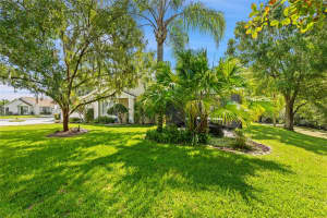 7239 CLEOPATRA DRIVE, LAND O LAKES, FL 34637 - MLS#MFRW7877896