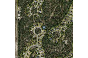 29 BLACK WILLOW COURT, HOMOSASSA, FL 34446 - MLS#MFRW7877899