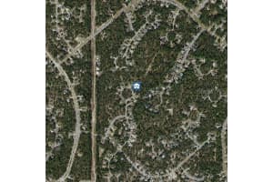 29 BLACK WILLOW COURT, HOMOSASSA, FL 34446 - MLS#MFRW7877899