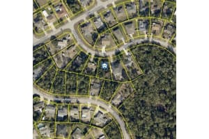 0 SUNDAY ROAD, SPRING HILL, FL 34608 - MLS#MFRW7877920