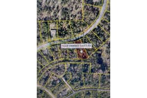 14388 CHIMNEY SWIFT ROAD, WEEKI WACHEE, FL 34614 - MLS#MFRW7877923