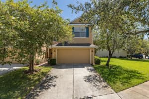 8932 Iron Oak Ave, TAMPA