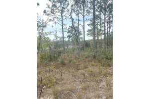 41 LINDER STREET, HOMOSASSA, FL 34446 - MLS#MFRW7877945