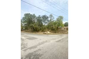 41 LINDER STREET, HOMOSASSA, FL 34446 - MLS#MFRW7877945