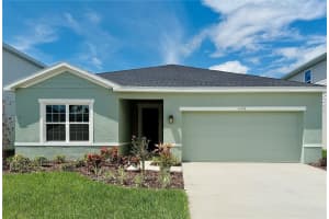 10106 Zennia Ln, PARRISH