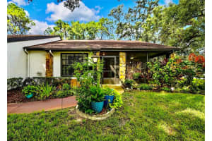 2129 Point O Woods Ct, SPRING HILL