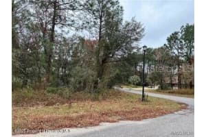 6 SHAMROCK COURT, HOMOSASSA, FL 34446 Sold 08/27/25