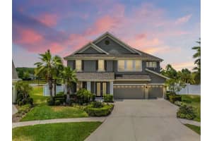 19500 Hayden Lake Ct, LAND O LAKES
