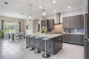19500 HAYDEN LAKE COURT, LAND O LAKES, FL 34638 - MLS#MFRW7878006