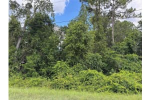 Lot 1 CANVASBACK ROAD, BROOKSVILLE, FL 34614 - MLS#MFRW7878015