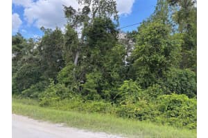 Lot 1 CANVASBACK ROAD, BROOKSVILLE, FL 34614 - MLS#MFRW7878015