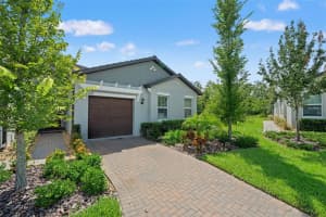 16793 FORGE SURF STREET, LAND O LAKES, FL 34638 - MLS#MFRW7878039