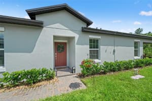 16793 FORGE SURF STREET, LAND O LAKES, FL 34638 - MLS#MFRW7878039