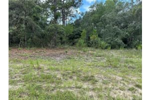 1282 HAMPSHIRE BOULEVARD, CITRUS SPRINGS, FL 34434 - MLS#MFRW7878092
