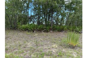 1195 HAMPSHIRE BOULEVARD, CITRUS SPRINGS, FL 34434 - MLS#MFRW7878099