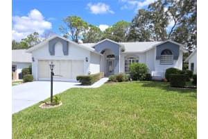 7009 Rolling Green Dr, SPRING HILL