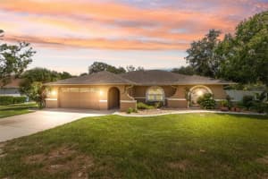 14008 N Bruni Dr, SPRING HILL 14008 N Bruni Dr, SPRING HILL