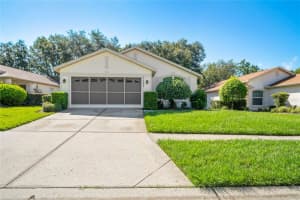 11242 Heathrow Ave, SPRING HILL