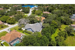4318 RIVER BIRCH DRIVE, SPRING HILL, FL 34607 Sold 09/09/25