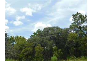 6681 BEDSTROW BOULEVARD, DUNNELLON, FL 34434 - MLS#MFRW7878137