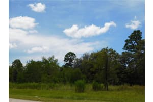 6681 BEDSTROW BOULEVARD, DUNNELLON, FL 34434 - MLS#MFRW7878137