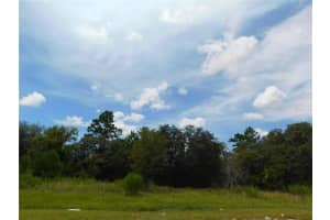 6683 BEDSTROW BOULEVARD, DUNNELLON, FL 34434 - MLS#MFRW7878156