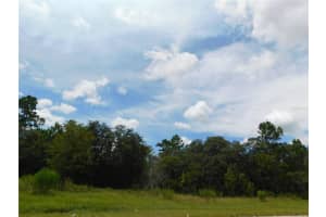 6683 BEDSTROW BOULEVARD, DUNNELLON, FL 34434 - MLS#MFRW7878156