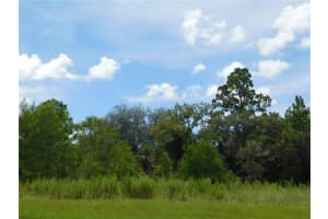 6683 BEDSTROW BOULEVARD, DUNNELLON, FL 34434 - MLS#MFRW7878156