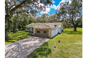 15438/15440 AZRA DR, ODESSA, FL 33556 - MLS#MFRW7878188