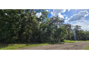 9427 LAMPSON TERRACE, DUNNELLON, FL 34434 - MLS#MFRW7878202