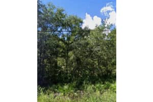 ATLEE ST, NEW PORT RICHEY, FL 34654 - MLS#MFRW7878213