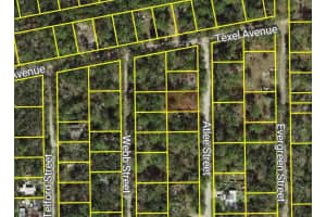 ATLEE ST, NEW PORT RICHEY, FL 34654 - MLS#MFRW7878213