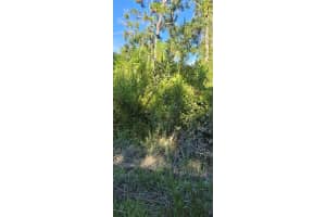 EVERGREEN ST, NEW PORT RICHEY, FL 34654 - MLS#MFRW7878216