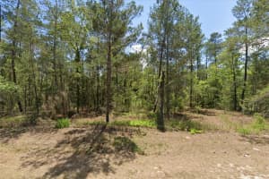 6230 OAK PARK BOULEVARD, HOMOSASSA, FL 34446 - MLS#MFRW7878278