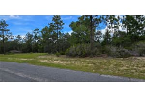 2899 SANTANA DRIVE, CITRUS SPRINGS, FL 34433 - MLS#MFRW7878282